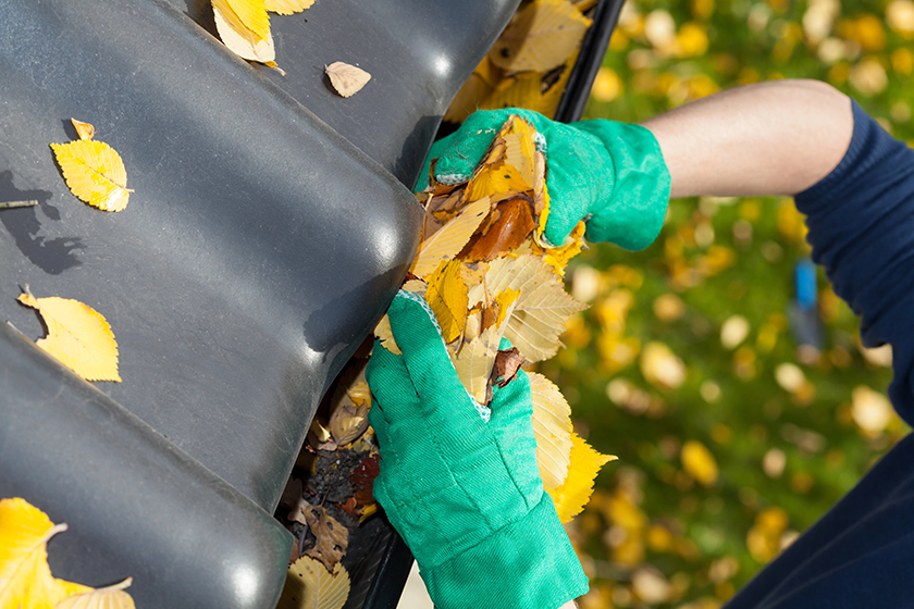 leaves-in-rain-gutter