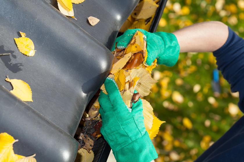 7 Reasons Why Clean Gutters Are Important