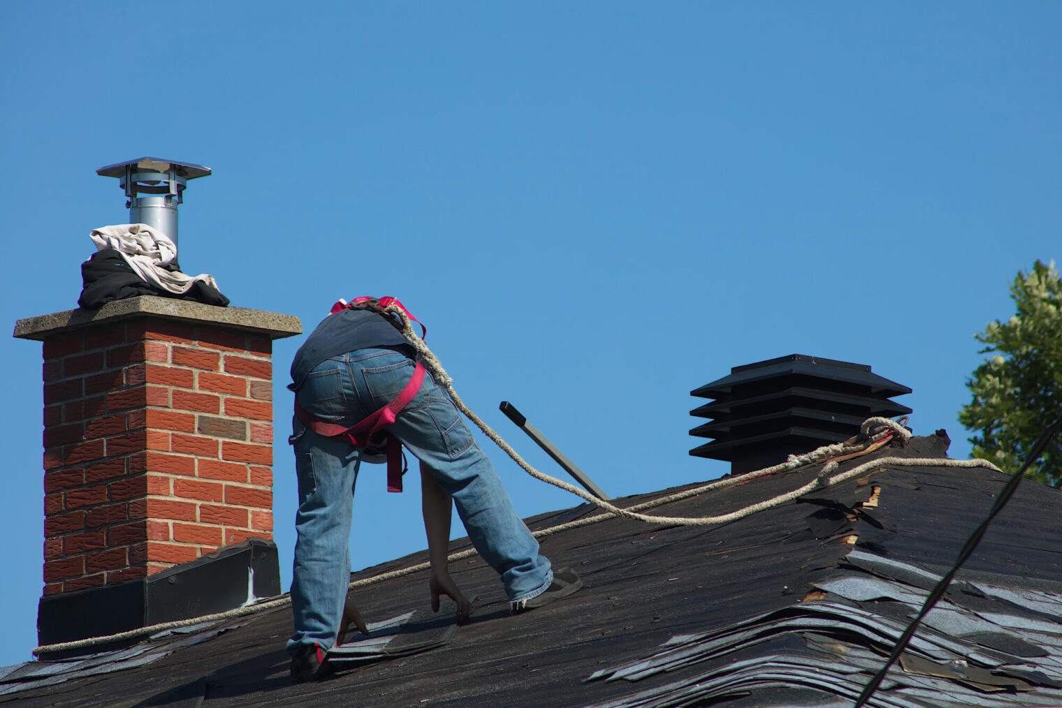 Maintain Roof Shingles Properly